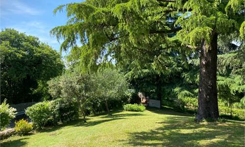 ARCUGNANO COLLE - VILLA RUSTICA CON GRANDE GIARDINO